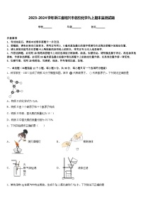 2023-2024学年浙江省绍兴市名校化学九上期末监测试题含答案