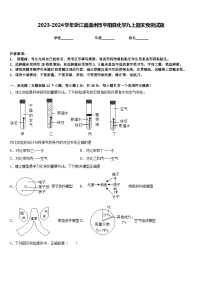 2023-2024学年浙江省温州市平阳县化学九上期末预测试题含答案