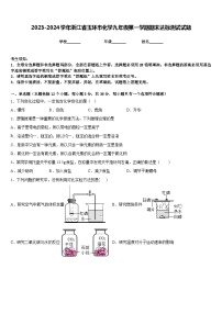 2023-2024学年浙江省玉环市化学九年级第一学期期末达标测试试题含答案