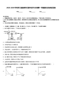 2023-2024学年浙江省温州市乐清市化学九年级第一学期期末达标测试试题含答案