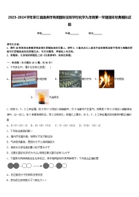 2023-2024学年浙江省温州市育英国际实验学校化学九年级第一学期期末经典模拟试题含答案