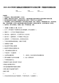 2023-2024学年浙江省萧山区党湾镇初级中学九年级化学第一学期期末检测模拟试题含答案