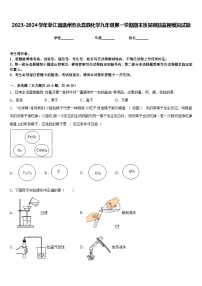 2023-2024学年浙江省温州市永嘉县化学九年级第一学期期末质量跟踪监视模拟试题含答案