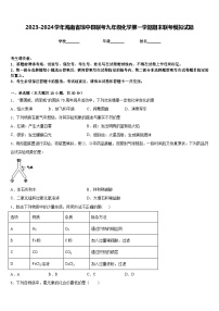 2023-2024学年海南省琼中县联考九年级化学第一学期期末联考模拟试题含答案