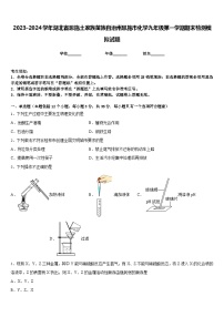 2023-2024学年湖北省恩施土家族苗族自治州恩施市化学九年级第一学期期末检测模拟试题含答案