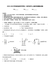 2023-2024学年湖北省华中学师大一附中化学九上期末检测模拟试题含答案