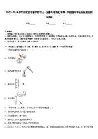 2023-2024学年湖北省华中学师范大一附中九年级化学第一学期期末学业质量监测模拟试题含答案