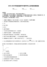 2023-2024学年湖北省咸宁市马桥中学九上化学期末调研试题含答案