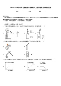 2023-2024学年湖北省宜昌市高新区九上化学期末监测模拟试题含答案