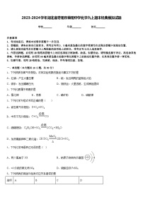 2023-2024学年湖北省枣阳市蔡阳中学化学九上期末经典模拟试题含答案