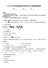 2023-2024学年湖北省宜昌市天问学校化学九上期末监测模拟试题含答案