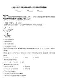 2023-2024学年湖北宣恩椒园九上化学期末综合测试试题含答案