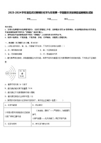 2023-2024学年湖北武汉黄陂区化学九年级第一学期期末质量跟踪监视模拟试题含答案