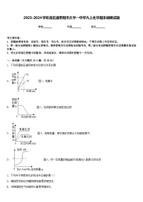 2023-2024学年湖北省枣阳市太平一中学九上化学期末调研试题含答案