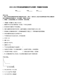 2023-2024学年湖北省孝昌县化学九年级第一学期期末考试试题含答案