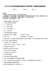 2023-2024学年湖北省宜昌市宜昌中学九年级化学第一学期期末经典模拟试题含答案