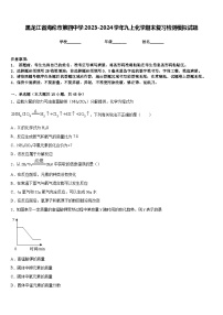 黑龙江省海伦市第四中学2023-2024学年九上化学期末复习检测模拟试题含答案