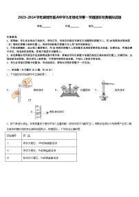 2023-2024学年淄博市重点中学九年级化学第一学期期末经典模拟试题含答案