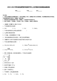 2023-2024学年湖北省枣阳市钱岗中学九上化学期末质量跟踪监视试题含答案