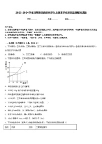 2023-2024学年深圳市龙岗区化学九上期末学业质量监测模拟试题含答案