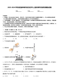 2023-2024学年湖北省孝感市名校化学九上期末教学质量检测模拟试题含答案