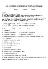 2023-2024学年湖北省枣阳市鹿头镇初级中学化学九上期末综合测试试题含答案