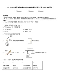 2023-2024学年湖北省宜昌市外国语初级中学化学九上期末综合测试试题含答案