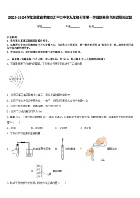 2023-2024学年湖北省枣阳市太平三中学九年级化学第一学期期末综合测试模拟试题含答案