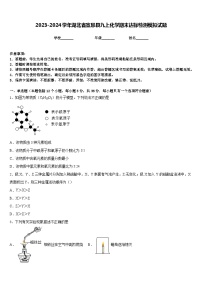 2023-2024学年湖北省宣恩县九上化学期末达标检测模拟试题含答案