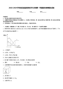 2023-2024学年湖北省监利县化学九年级第一学期期末调研模拟试题含答案