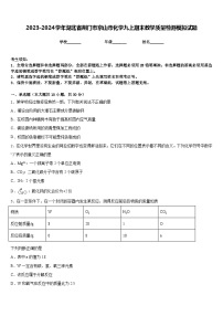 2023-2024学年湖北省荆门市京山市化学九上期末教学质量检测模拟试题含答案