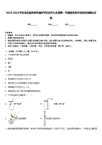 2023-2024学年湖北省荆州市南昕学校化学九年级第一学期期末教学质量检测模拟试题含答案