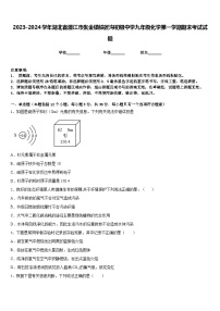 2023-2024学年湖北省潜江市张金镇铁匠沟初级中学九年级化学第一学期期末考试试题含答案