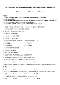 2023-2024学年湖北省武昌区粮道街中学九年级化学第一学期期末监测模拟试题含答案