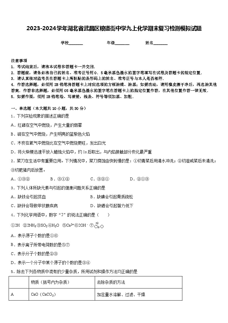 2023-2024学年湖北省武昌区粮道街中学九上化学期末复习检测模拟试题含答案第1页