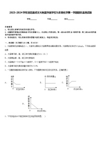 2023-2024学年湖北省武汉大附属外语学校九年级化学第一学期期末监测试题含答案