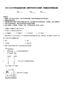 2023-2024学年湖北省武汉第二初级中学化学九年级第一学期期末统考模拟试题含答案