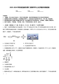 2023-2024学年湖北省武汉第二初级中学九上化学期末经典试题含答案