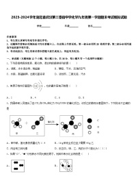 2023-2024学年湖北省武汉第三寄宿中学化学九年级第一学期期末考试模拟试题含答案