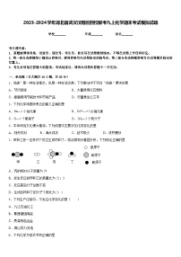 2023-2024学年湖北省武汉汉阳区四校联考九上化学期末考试模拟试题含答案