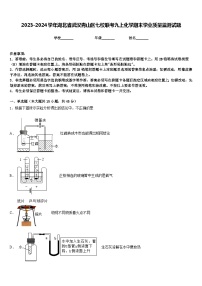 2023-2024学年湖北省武汉青山区七校联考九上化学期末学业质量监测试题含答案