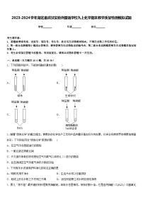 2023-2024学年湖北省武汉实验外国语学校九上化学期末教学质量检测模拟试题含答案