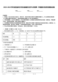 2023-2024学年湖北省武汉市东湖高新区化学九年级第一学期期末质量检测模拟试题含答案