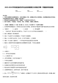 2023-2024学年湖北省武汉市光谷实验等四校九年级化学第一学期期末检测试题含答案