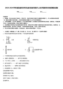 2023-2024学年湖北省武汉市洪山区东湖开发区九上化学期末综合测试模拟试题含答案