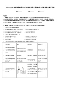 2023-2024学年湖北省武汉市江岸区武汉七一华源中学九上化学期末考试试题含答案