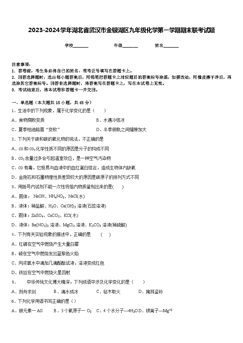 2023-2024学年湖北省武汉市金银湖区九年级化学第一学期期末联考试题含答案第1页