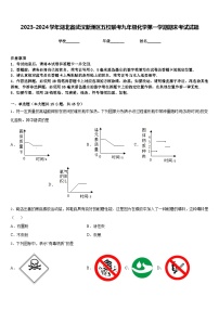 2023-2024学年湖北省武汉新洲区五校联考九年级化学第一学期期末考试试题含答案