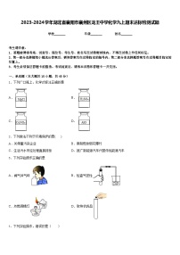 2023-2024学年湖北省襄阳市襄州区龙王中学化学九上期末达标检测试题含答案