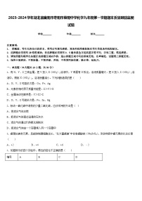 2023-2024学年湖北省襄阳市枣阳市蔡阳中学化学九年级第一学期期末质量跟踪监视试题含答案